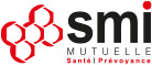 Logo SMI